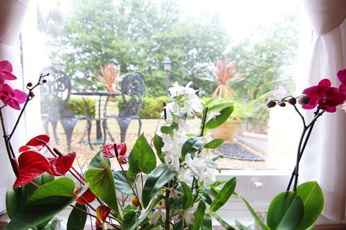 Hostal The Daylesford