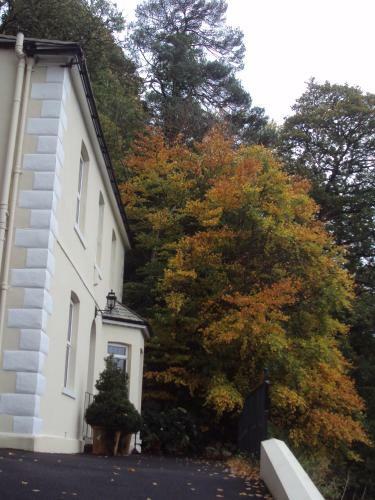 Bed & Breakfast Woodlands