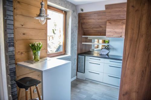 Apartament Guba?�wka