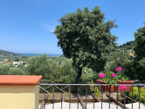 Bed & Breakfast Parco Dei Limoni