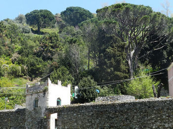 Hotel Punta Mesco