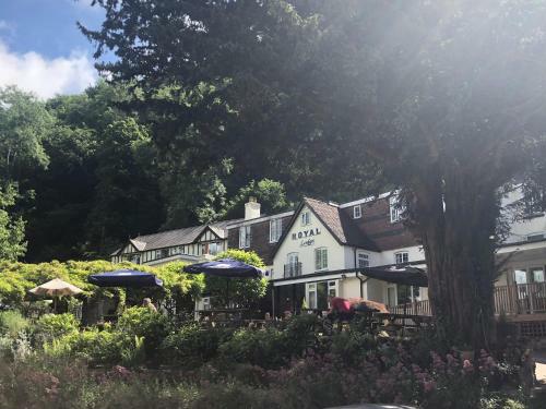 Agroturismo Royal Lodge