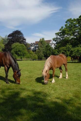 Caer Beris Manor Country House Hotel