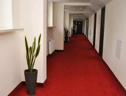 Hotel Gromada Arka Lux
