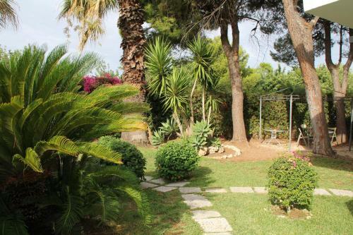 Hotel L'isola Che Non C'� - Apartments