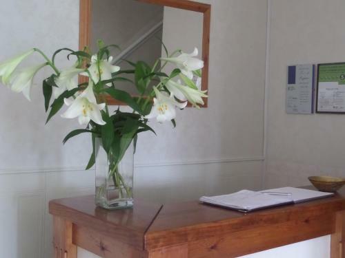 Hostal Ashdale Guest House