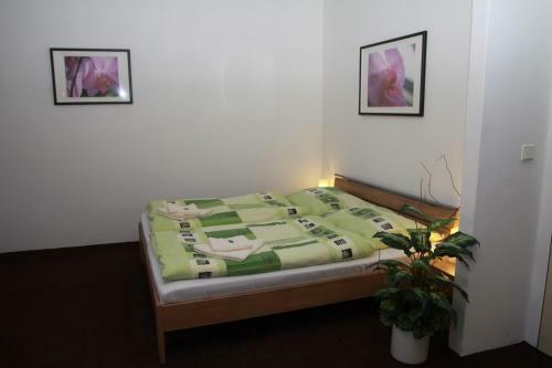 Hostal Penzion Jelen