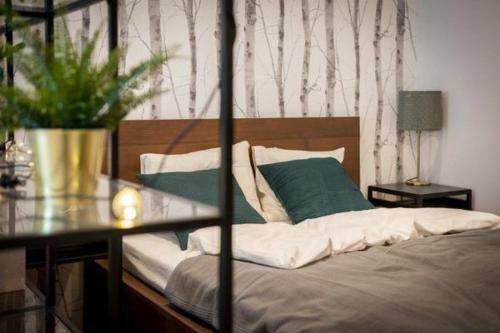 Apartament Aurora