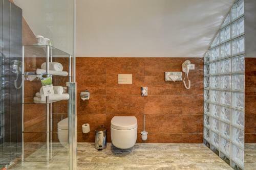 Amenity Hotel ?pindler?v Ml�n