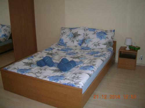 Apartamenty Starom?y?ska