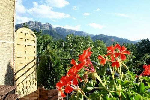 Apartamenty Zakopane Krup�wki