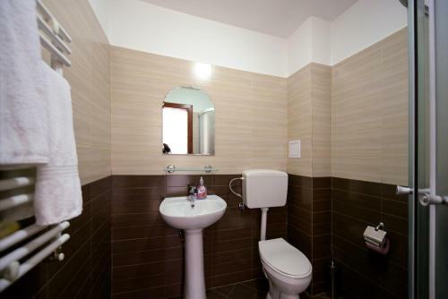 Hostal Pensiunea Arina