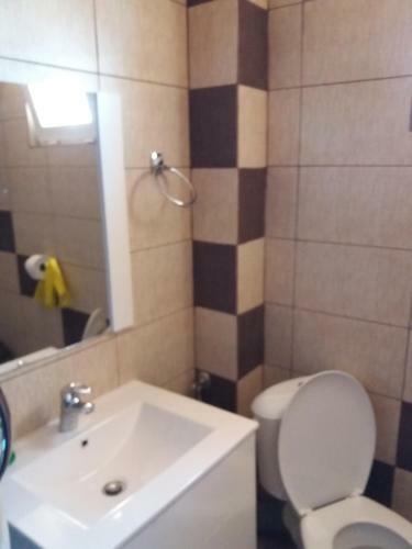 Hostal Pensiunea Dalena