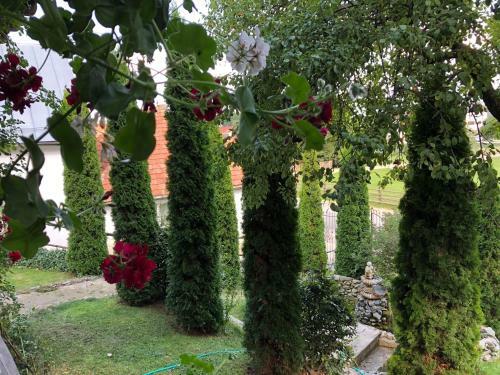 Hostal Pensiunea Andalex