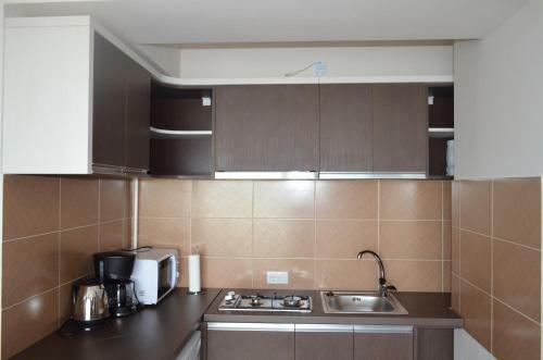 Apartament Eliz Mamaia