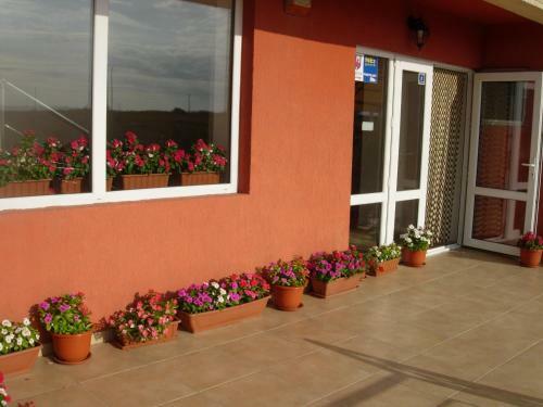 Hostal Vila Sophia Costinesti