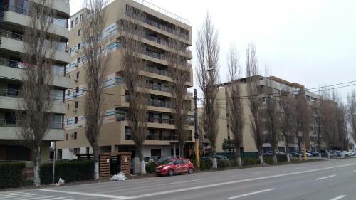 Apartment Decebal