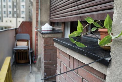 Apartamento Victoria Poshtel Studio