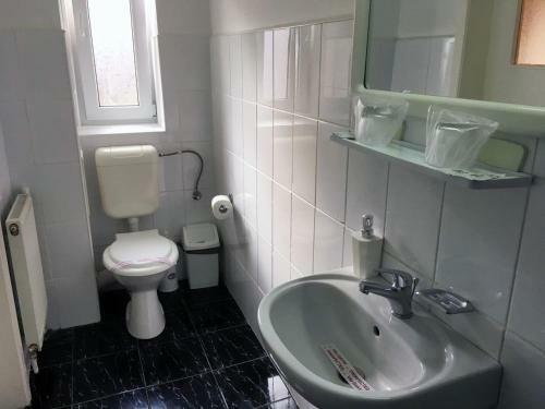 Hostal Pensiunea Vila Gabriel