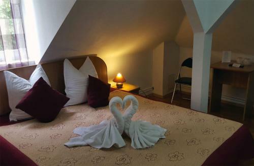 Hostal Pensiunea Vila Gabriel
