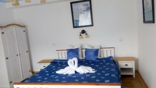 Hostal Pensiunea Vila Gabriel