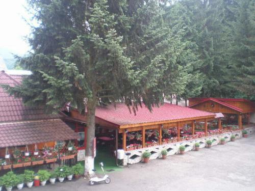 Hotel Complex Turistic Caprioara