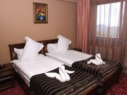 Hotel Complex Verona Predeal