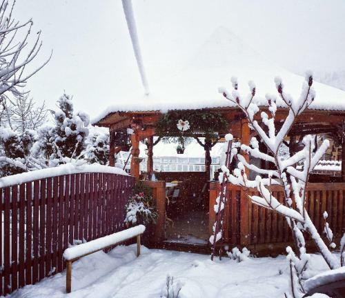 Hostal Pensiunea La Muncel