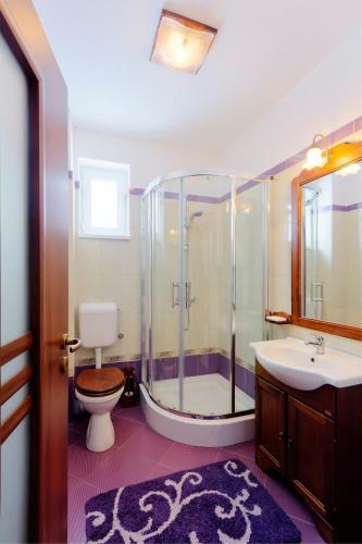 Hostal Pensiunea Romantic Belvedere Paltinis