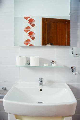 Hostal Pensiunea Romantic Belvedere Paltinis