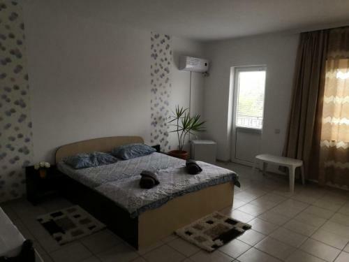 Hostal Casa Antonia