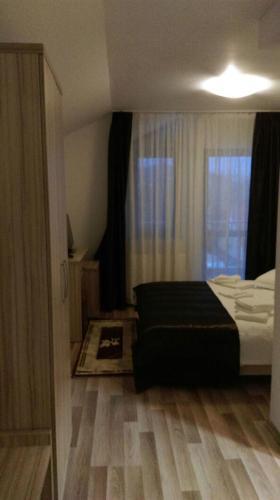 Hostal Pensiunea Alex