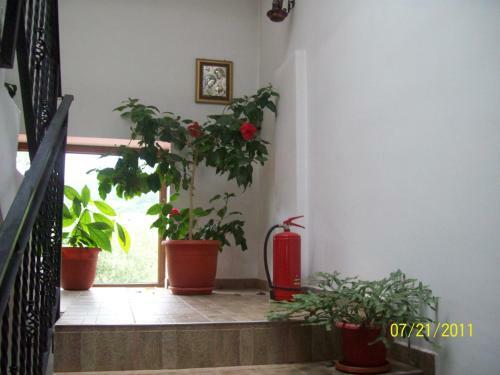 Hostal Pensiunea Norica