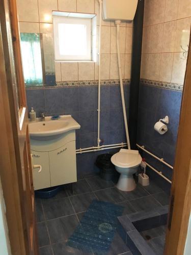 Apartamente Rodica