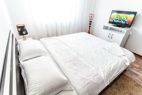 Apartment Alba Iulia Square12