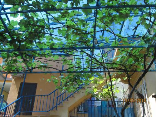 Hostal Liana Guest House