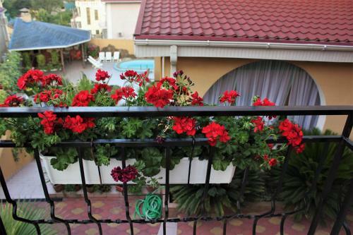 Hostal Golubaya Laguna Guest House