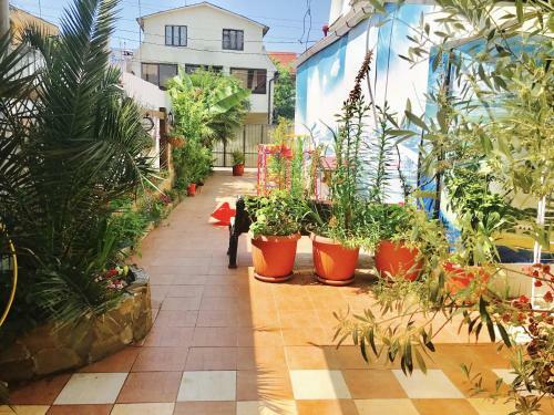 Hostal Anna Maria Guest House
