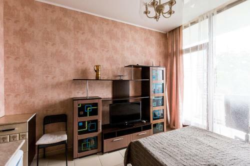 Apartment Svetlana-center