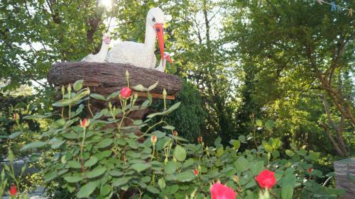 Hostal Aelita Guest House