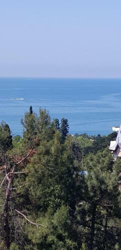 Hotel Pansionat Svetlana