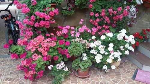 Hostal Guest House Atlantik