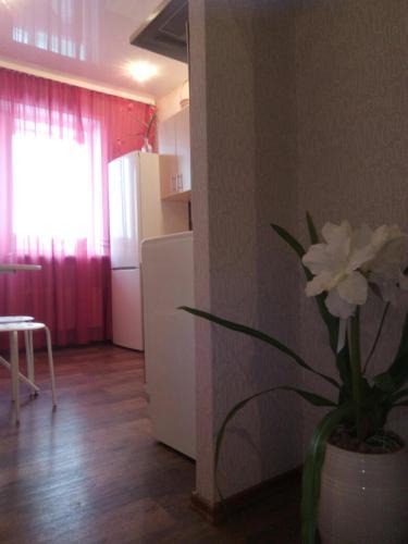Apartments At Krasniy Prospekt 3