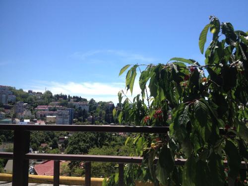 Hostal Guest House Daria
