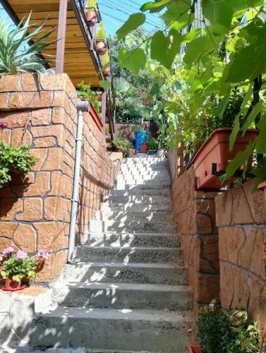 Hostal Guest House Daria