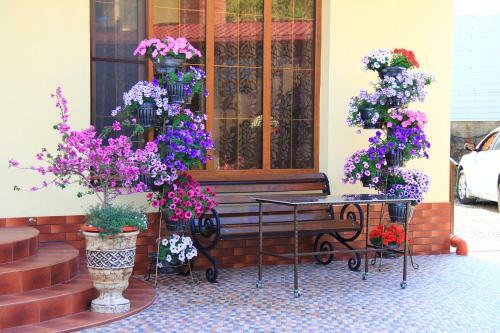 Hostal Guest House Comfort