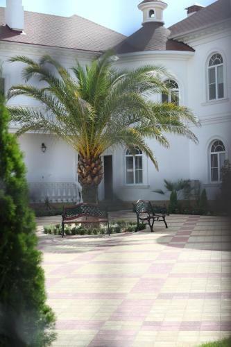 Black Sea Apartment