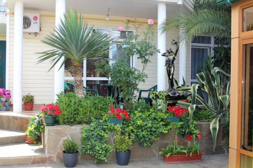 Hostal Guest House Sarissa