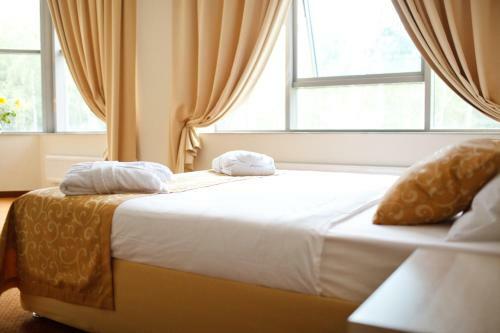 Skypoint Hotel Sheremetyevo Airport