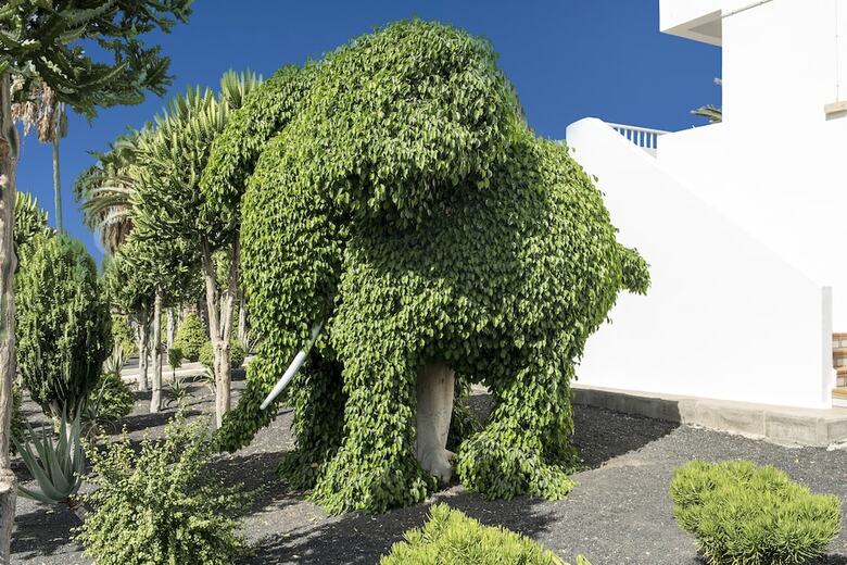 Hotel Floresta